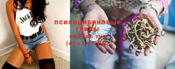 метадон Приозерск