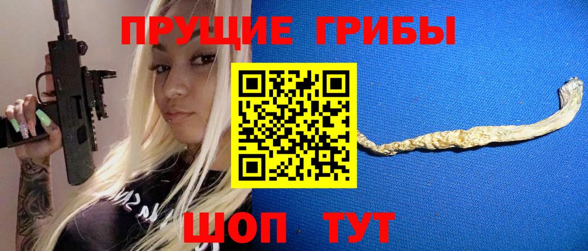 Псилоцибиновые грибы Magic Shrooms  Вход с VPN  Сердобск  Псилоцибиновые грибы мицелий 