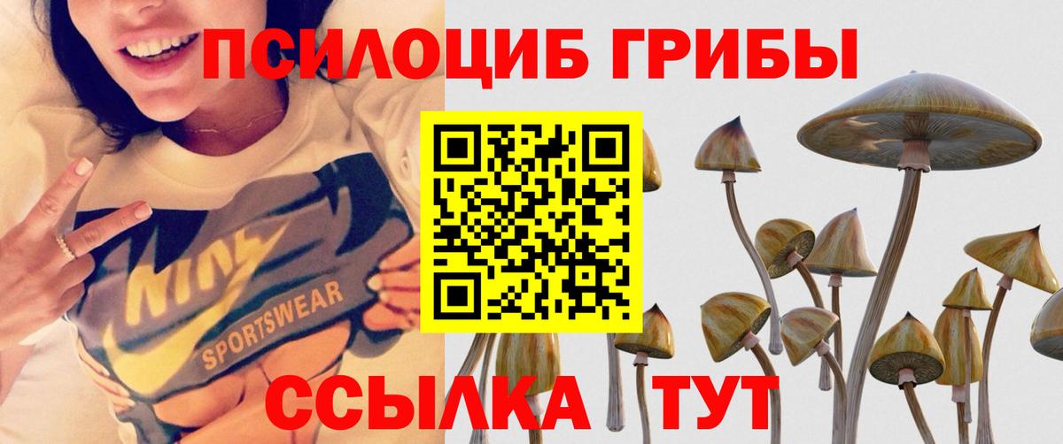 Псилоцибиновые грибы ЛСД Сердобск