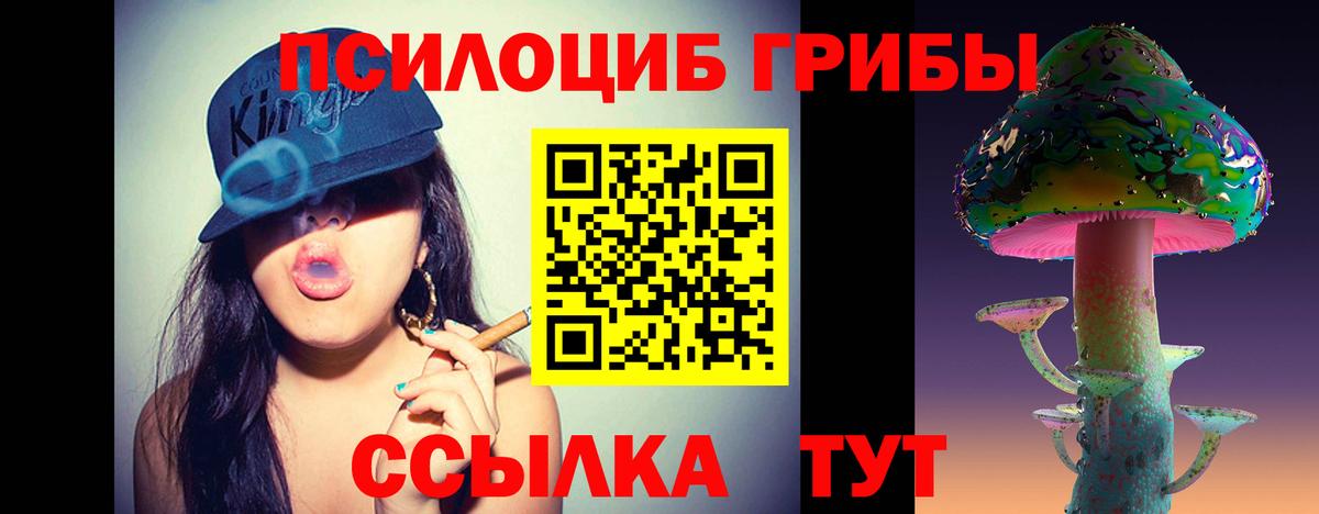 Галлюциногенные грибы Magic Shrooms Сердобск